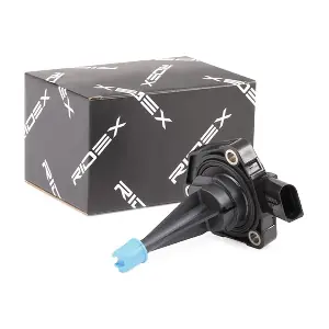 1289S0024 RIDEX