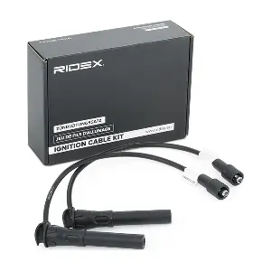 RIDEX 685I0039