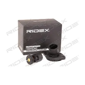 316T0099 RIDEX