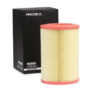 8A0391 RIDEX