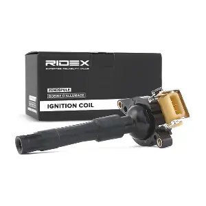 RIDEX 689C0024