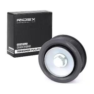 310T0038 RIDEX