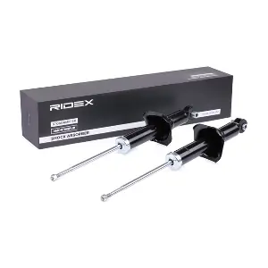 854S2385 RIDEX