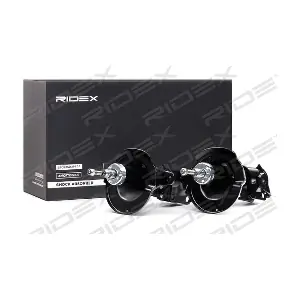 854S2230 RIDEX