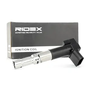 689C0230 RIDEX