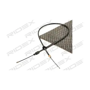 124C0319 RIDEX