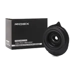 RIDEX 1180S0137