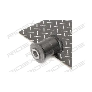 RIDEX 251T0458