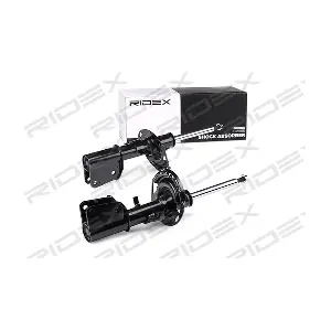 854S1668 RIDEX