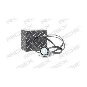 RIDEX 542R0056