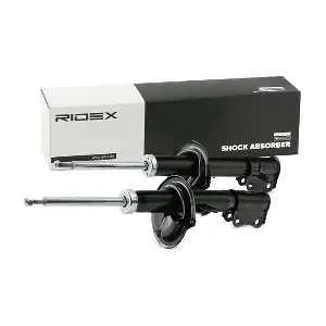 854S2209 RIDEX