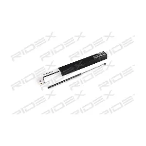 219G0433 RIDEX