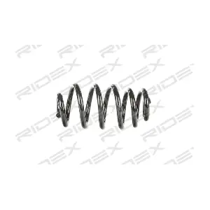 188C0246 RIDEX