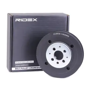 3213B0031 RIDEX