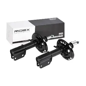 854S1825 RIDEX