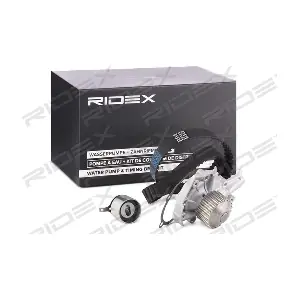 3096W0138 RIDEX