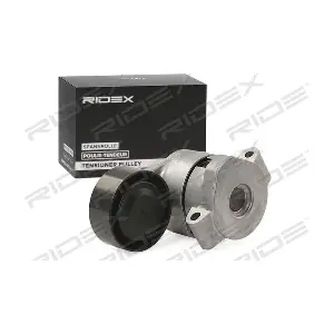 RIDEX 310T0289