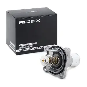 316T0181 RIDEX
