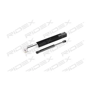 219G0458 RIDEX