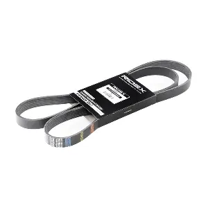 RIDEX 305P0250