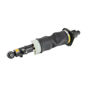 4118A0025 RIDEX