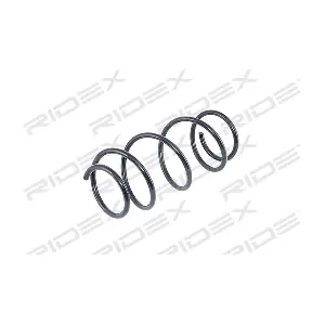 RIDEX 188C0192