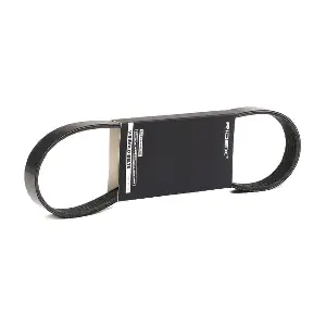 305P0194 RIDEX