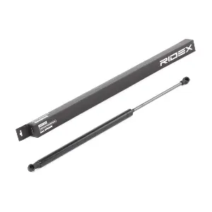 RIDEX 514G0066