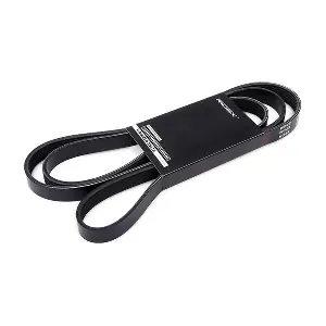 305P0430 RIDEX