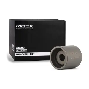 RIDEX 313D0005