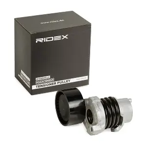310T0290 RIDEX