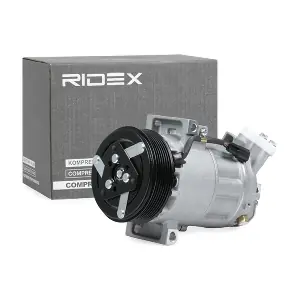 RIDEX 447K0424