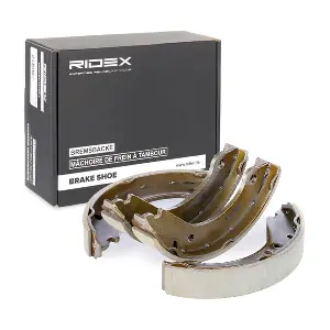 RIDEX 70B0077