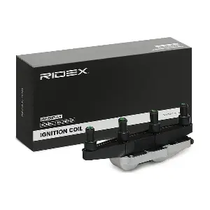 689C0314 RIDEX