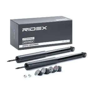 854S1669 RIDEX