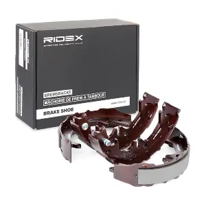 RIDEX 70B0101