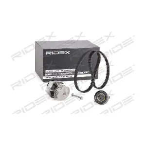 3096W0065 RIDEX