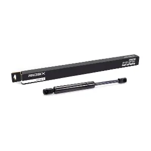 219G0119 RIDEX