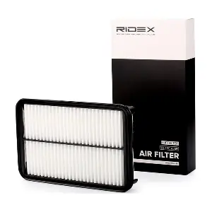 RIDEX 8A0196