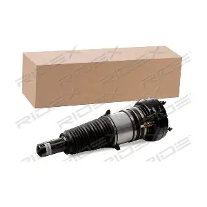 4118A0066 RIDEX