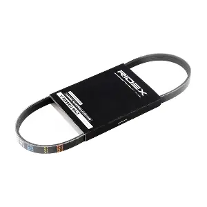 305P0217 RIDEX