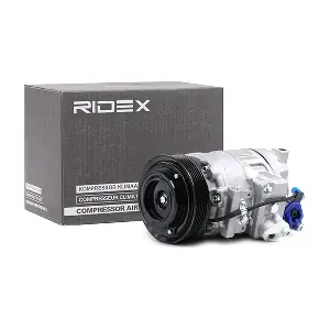 RIDEX 447K0089