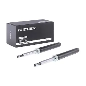 854S1725 RIDEX