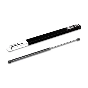 219G0147 RIDEX