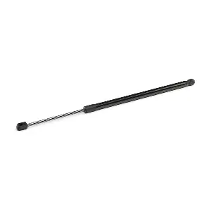 219G1013 RIDEX