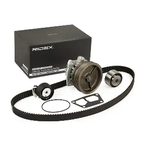 3096W0256 RIDEX