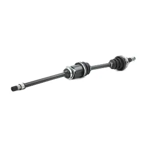 RIDEX 13D0471
