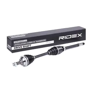 RIDEX 13D0253