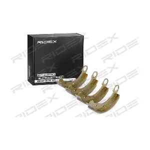 RIDEX 70B0209