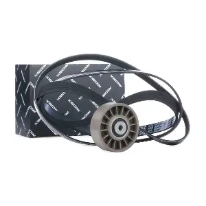 542R0323 RIDEX